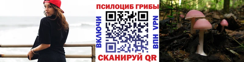 Псилоцибиновые грибы ЛСД Мариинск