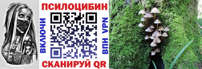 Псилоцибиновые грибы Cubensis  Купить  Мариинск 